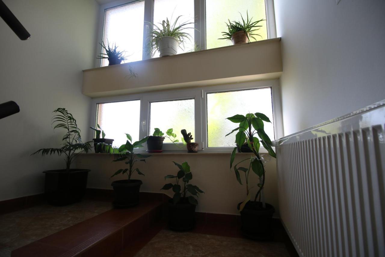 Hostel Teresianum Aleksinac Bagian luar foto